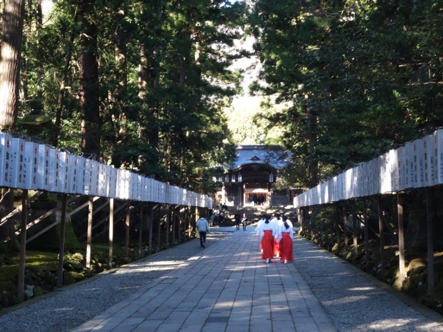 弥彦神社へお礼参り