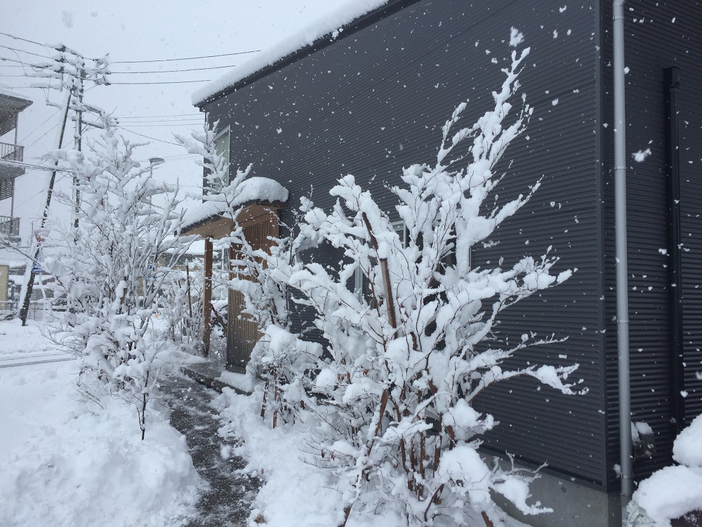 新津駅西口　町家カフェは大雪でも営業中！
