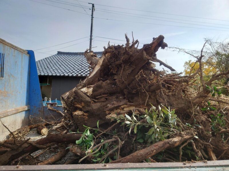 阿賀野市平屋の家、本日着工しました！【阿賀野市平屋WAKURAS　現場レポート】