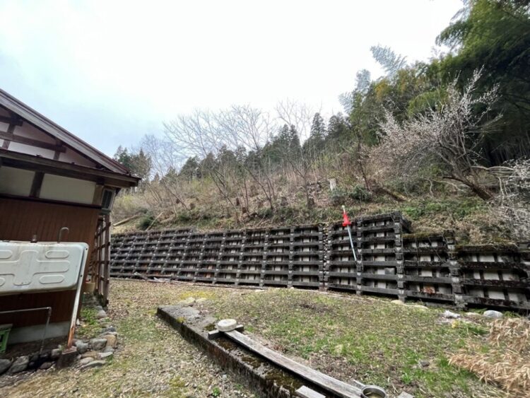 阿賀町五十島に調査に行ってきました。