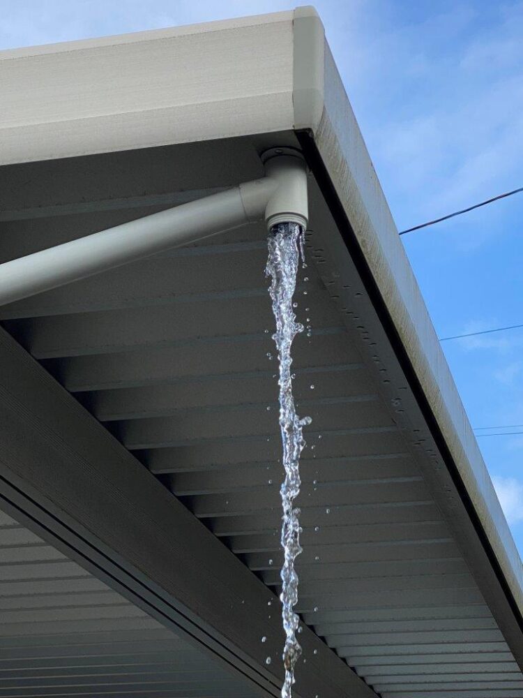 雨樋清掃は屋根だけじゃない！見逃しがちな〇〇もゴミが溜まるんです。