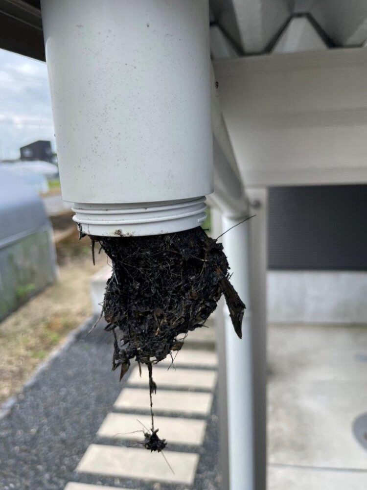 雨樋清掃は屋根だけじゃない！見逃しがちな〇〇もゴミが溜まるんです。