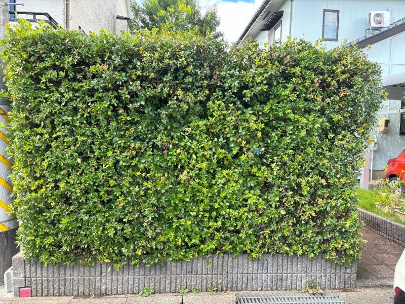 庭を駐車場にする工事を行っています。新潟市で外構工事をお考えの方、清新ハウスにご相談ください。
