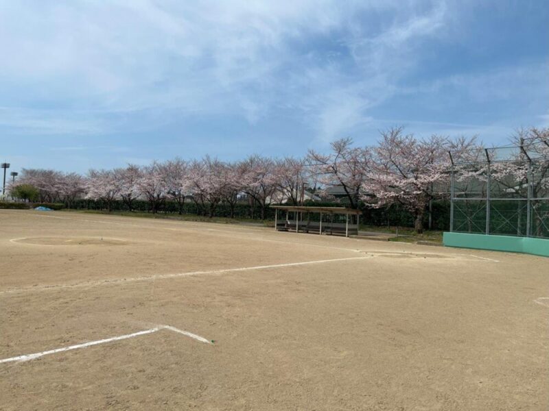 三条市ソフトボール場