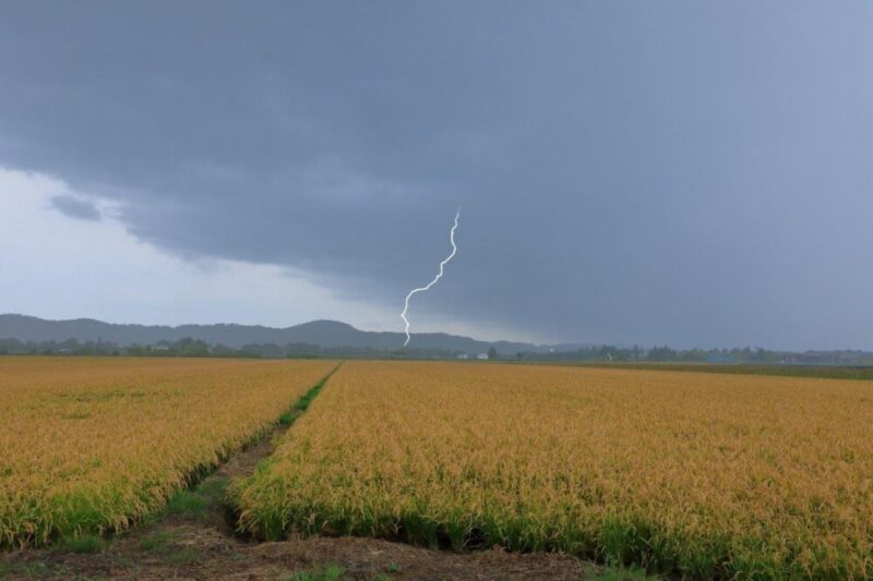 雨 雷 イメージ