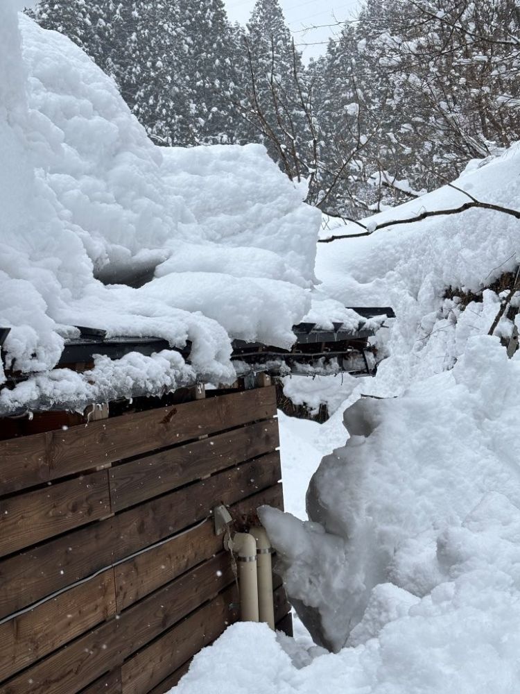 雪害 雨どい 新潟 修理