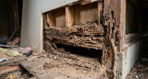 清新ハウスのシロアリ対策はホウ酸散布