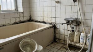 カビ・水アカを徹底対策！快適な浴室を保つ掃除のコツ